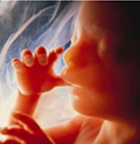 Coloca este Contador en Tu web y ayudaras aque halla menos abortos